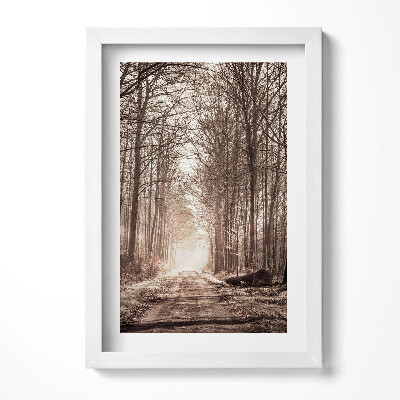 Obraz s rámem elegantní Lesní cesta v sépiových barvách