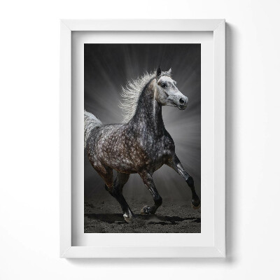 Obraz s rámem elegantní Cválající kůň