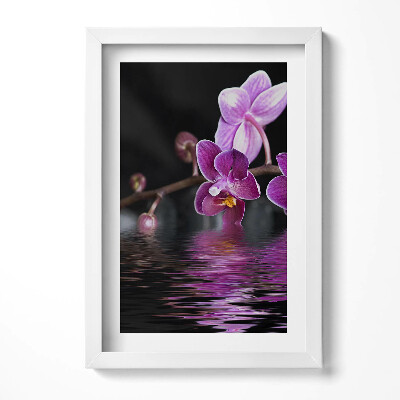 Obraz s rámem elegantní Růžový květ orchideje na vodě