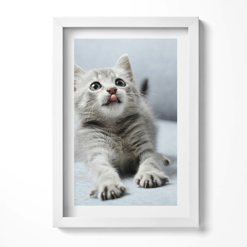 Obraz s rámem elegantní Rozkošné koťátko na pohovce