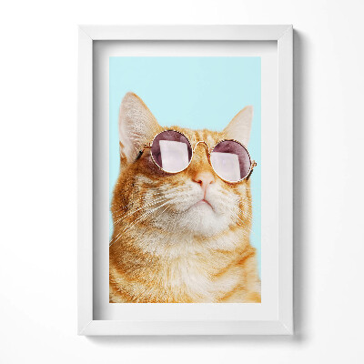 Obraz s rámem elegantní Legrační kočka s brýlemi