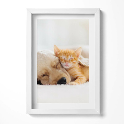 Obraz s rámem elegantní Spící zvířata kočka a pes