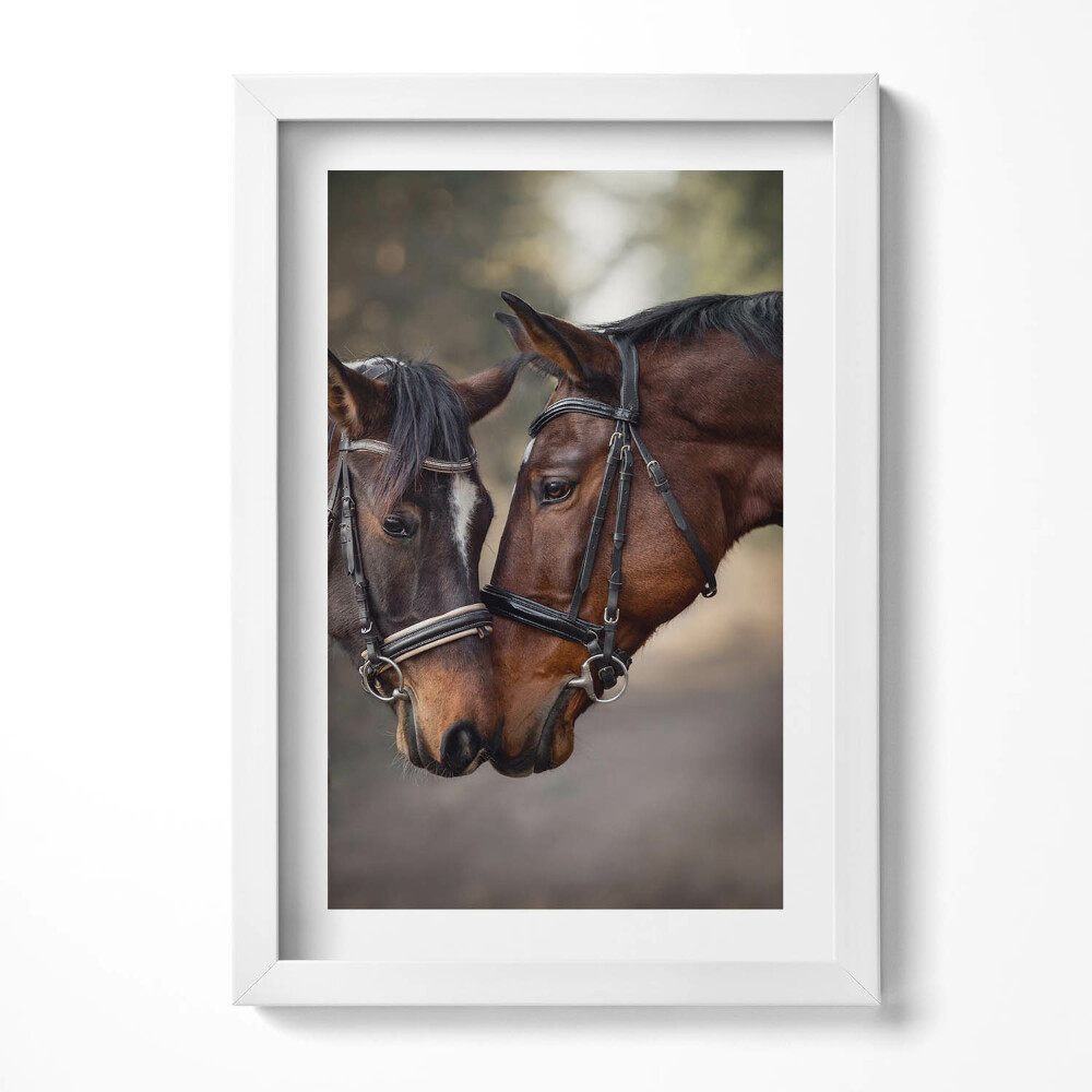 Obraz s rámem elegantní Portrét koní v lese