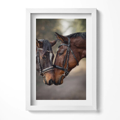 Obraz s rámem elegantní Portrét koní v lese