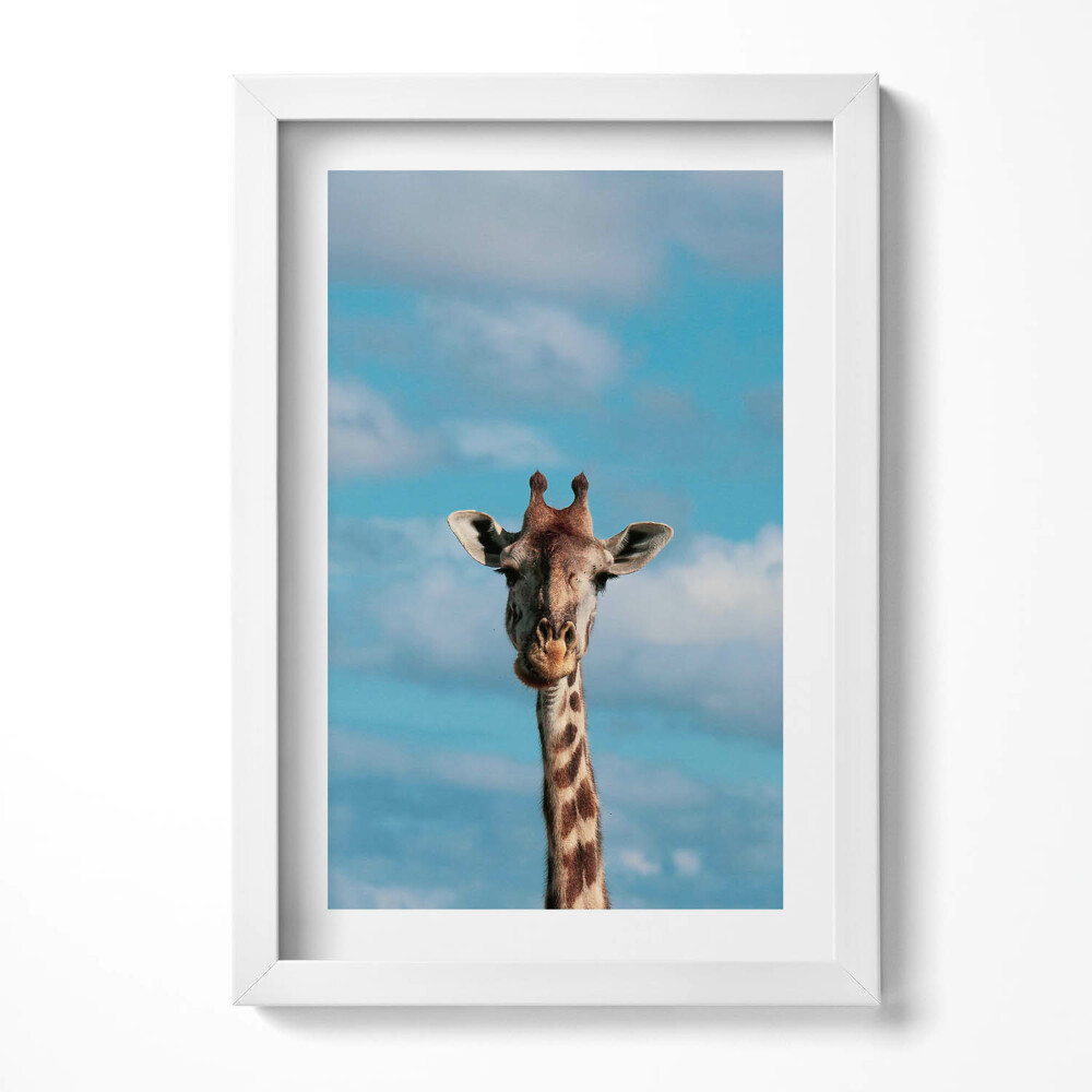 Obraz s rámem elegantní Hlava žirafy proti obloze