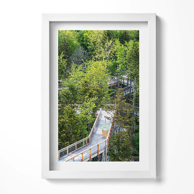 Obraz s rámem elegantní Stezka v Krynici Zdrój