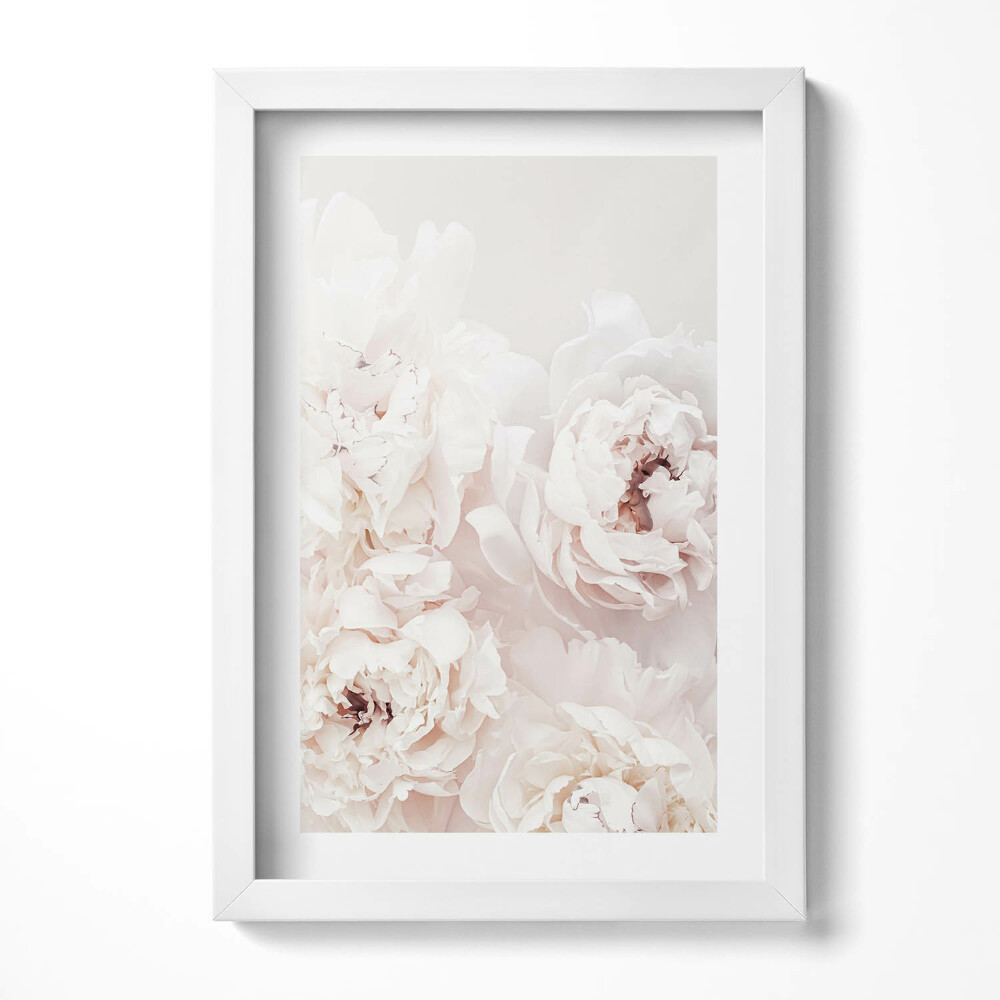 Obraz s rámem elegantní Pivoňkové květy