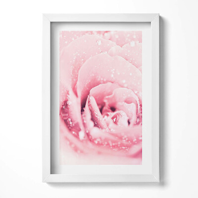 Obraz s rámem elegantní Růžový jemný květ