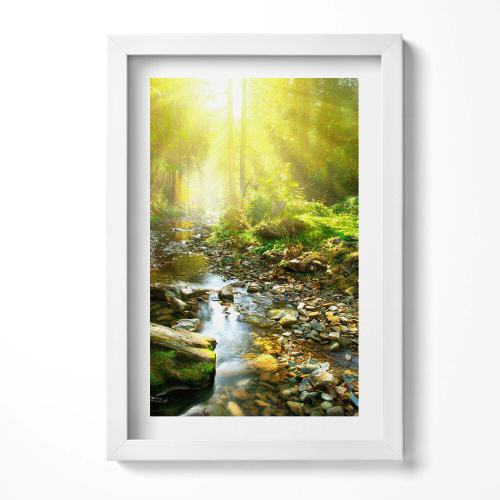 Obraz s rámem elegantní Lesní potok ve slunečním světle