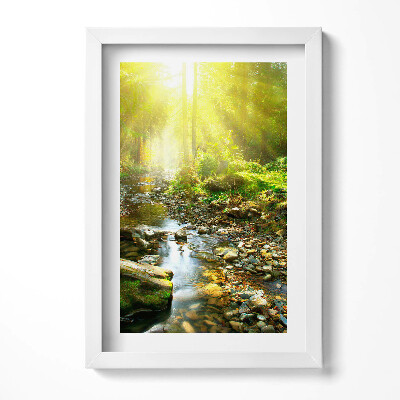 Obraz s rámem elegantní Lesní potok ve slunečním světle