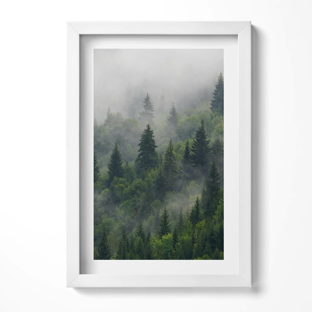 Obraz s rámem elegantní Lesní krajina v mlze