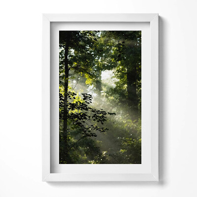 Obraz s rámem elegantní Sluneční paprsky a stromy