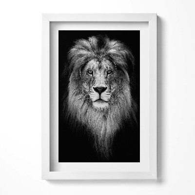 Obraz s rámem elegantní Hlava lva divoké kočky