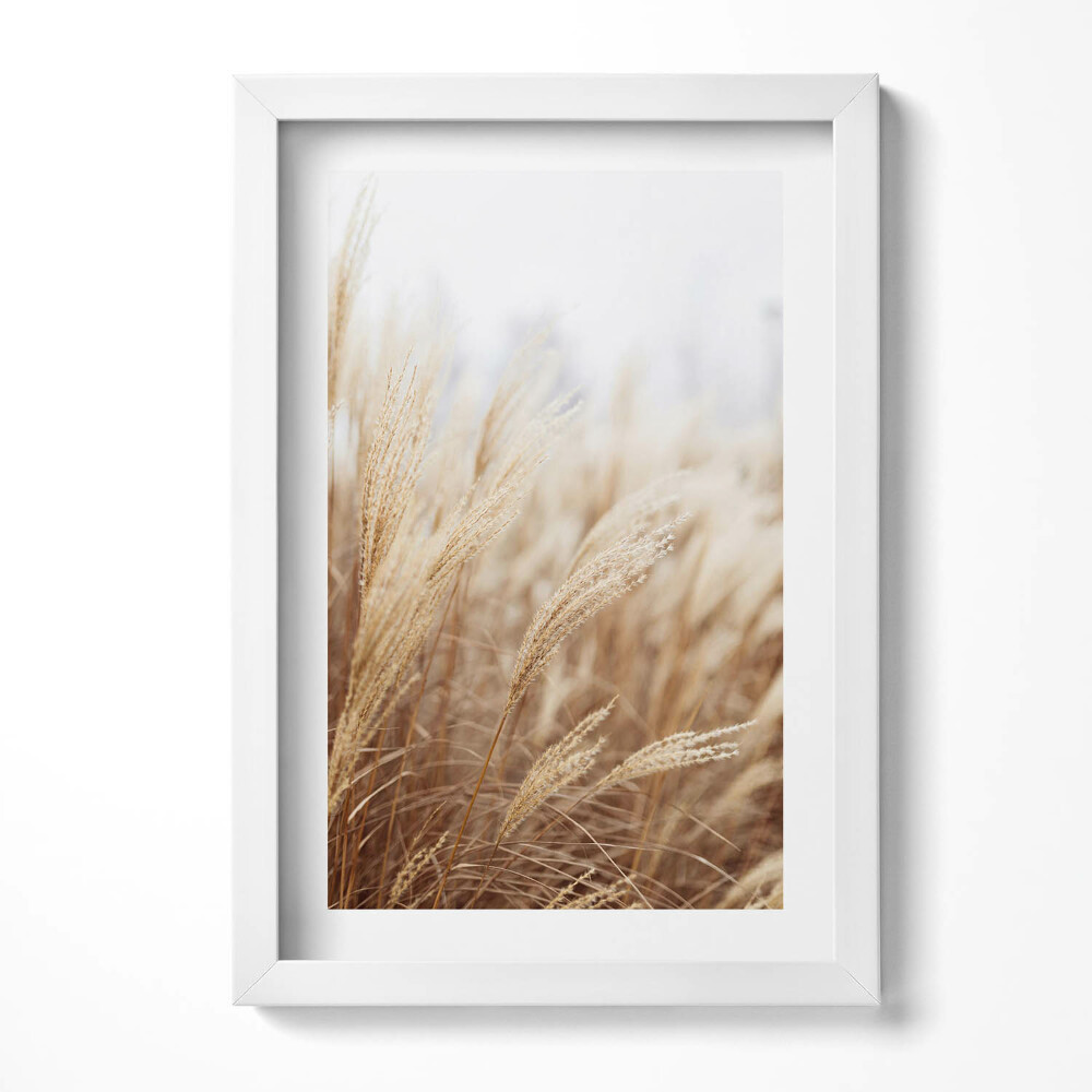 Obraz s rámem elegantní Přírodní boho travní obiloviny