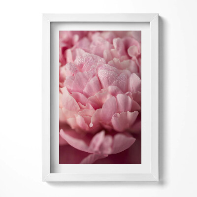 Obraz s rámem elegantní Jemné okvětní lístky