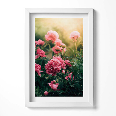 Obraz s rámem elegantní Růžové květy na louce