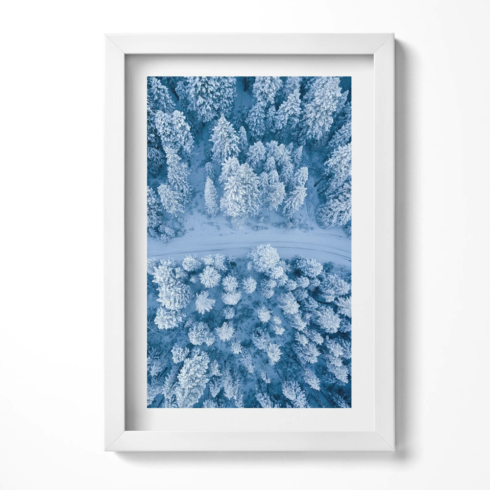 Obraz s rámem elegantní Les z ptačí perspektivy