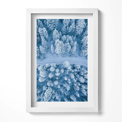 Obraz s rámem elegantní Les z ptačí perspektivy