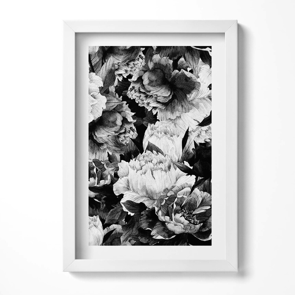 Obraz s rámem elegantní Černé a bílé květy pivoňky