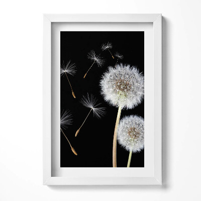 Obraz s rámem elegantní Dvě pampelišky