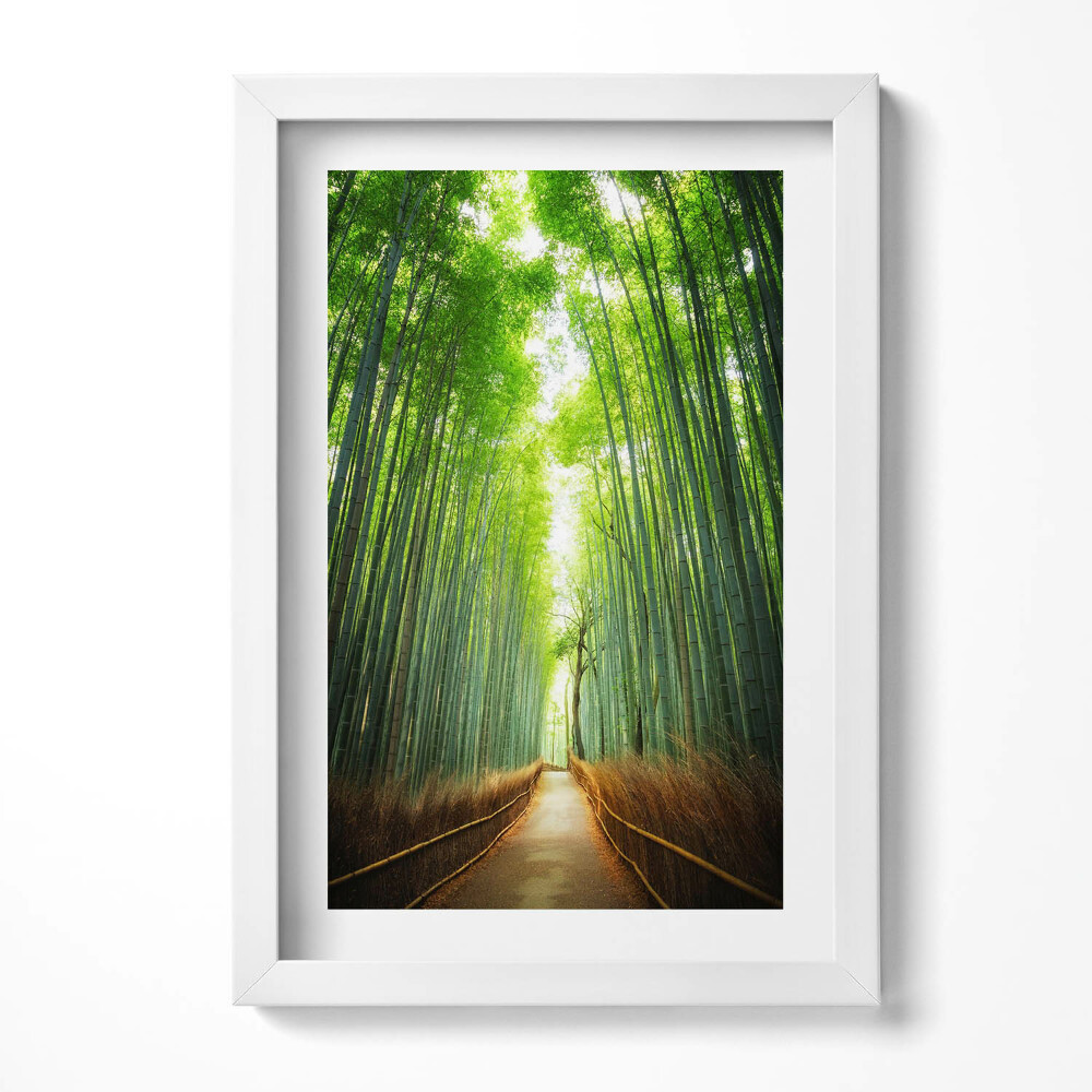 Obraz s rámem elegantní Bambusový les Arashiyama Kjóto Japonsko