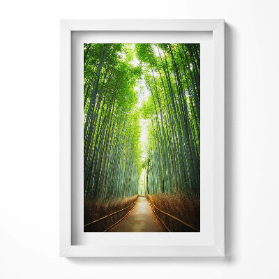 Obraz s rámem elegantní Bambusový les Arashiyama Kjóto Japonsko