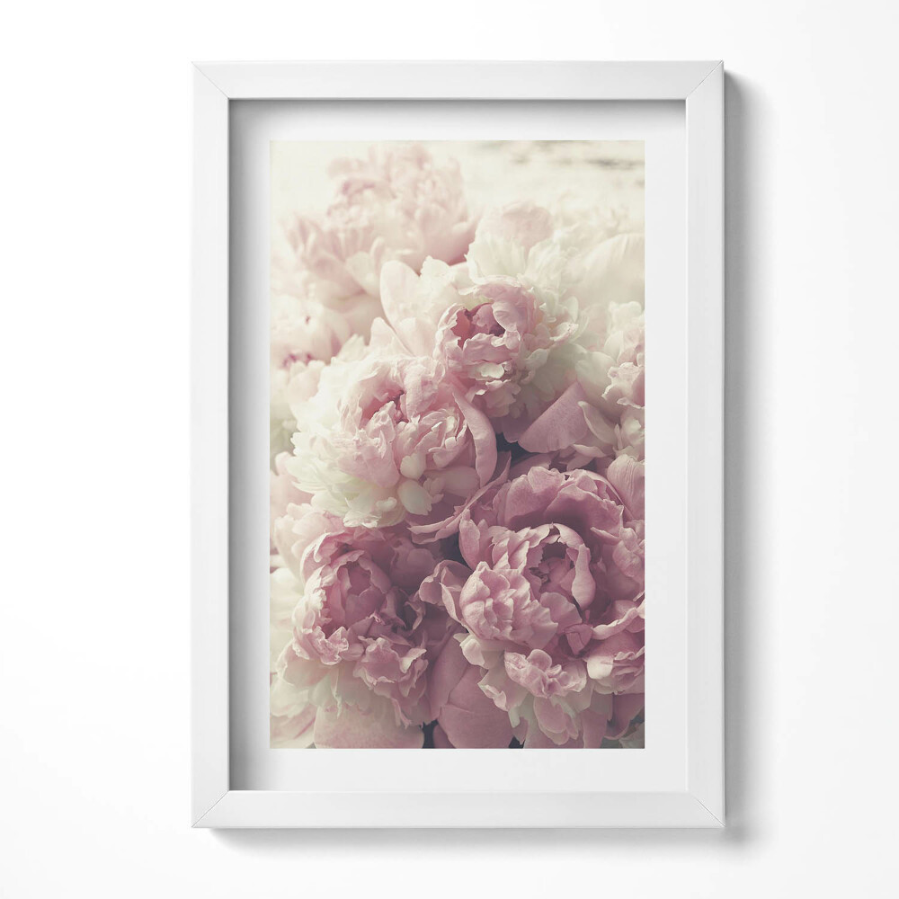 Obraz s rámem elegantní Jemné květy pivoňky