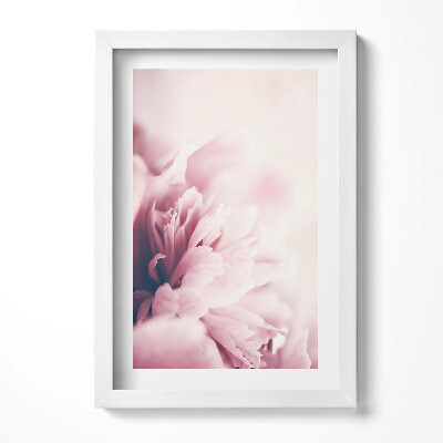 Obraz s rámem elegantní Detailní záběr na okvětní lístky pivoňky