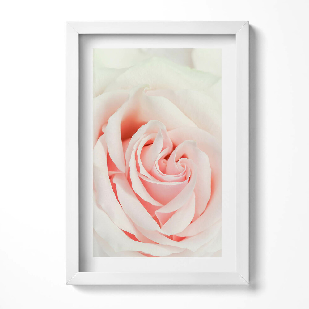 Obraz s rámem elegantní Detail růžových lístků