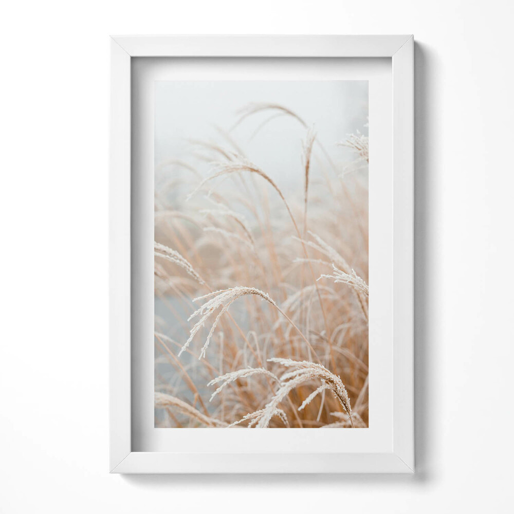 Obraz s rámem elegantní Jemné trávy v boho stylu