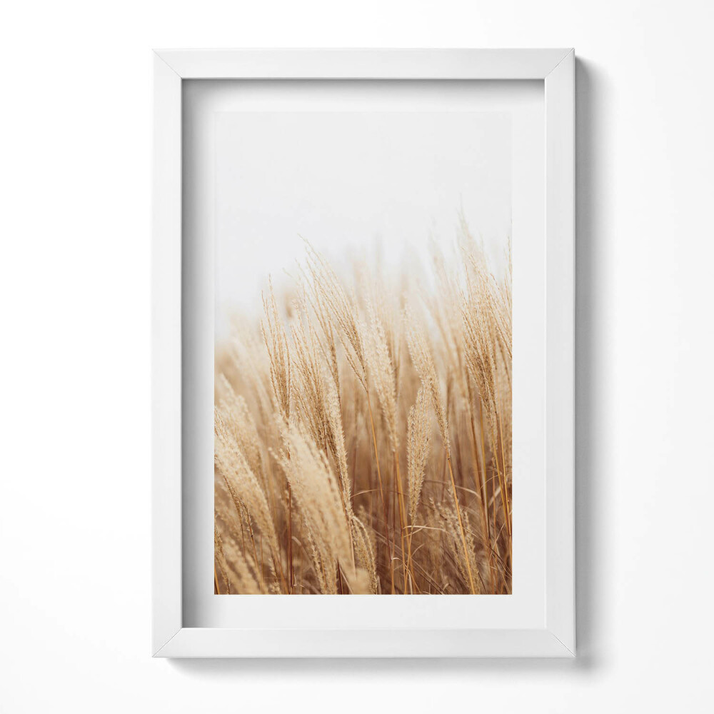 Obraz s rámem elegantní Krajina jemných boho trav