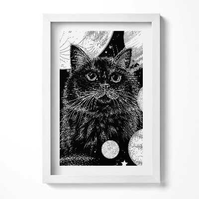 Obraz s rámem elegantní Kouzelná černá kočka a prostor