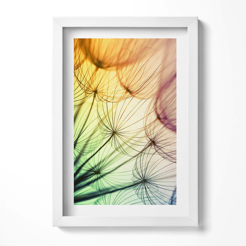 Obraz s rámem elegantní Jemný pyl pampelišky