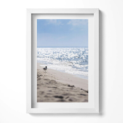 Obraz s rámem elegantní Mořské vlny a pták na pláži