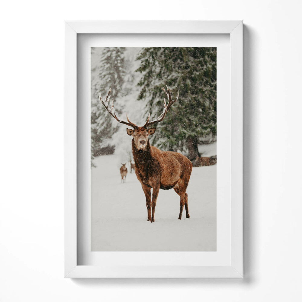 Obraz s rámem elegantní Jelen v zimním lese