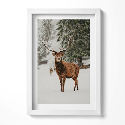 Obraz s rámem elegantní Jelen v zimním lese