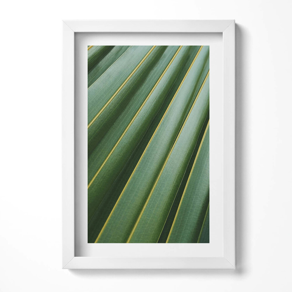 Obraz s rámem elegantní Zelená rostlina textura