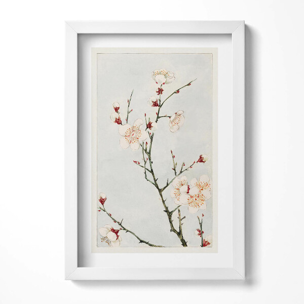 Obraz s rámem elegantní Minimalistické ilustrace větví s květinami