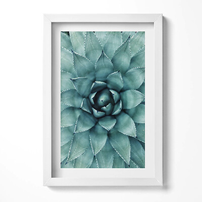Obraz s rámem elegantní Zelená sukulentní rostlina