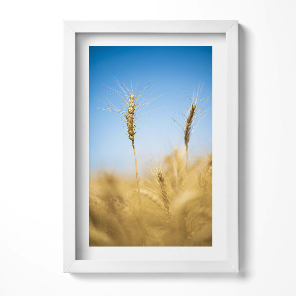 Obraz s rámem elegantní Klasy proti obloze