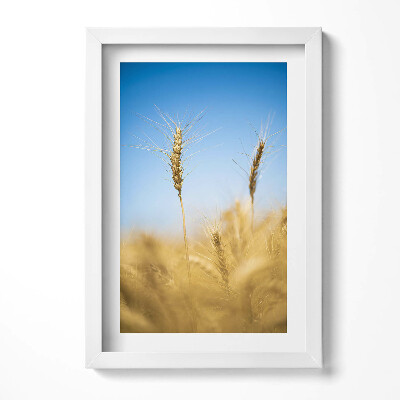 Obraz s rámem elegantní Klasy proti obloze