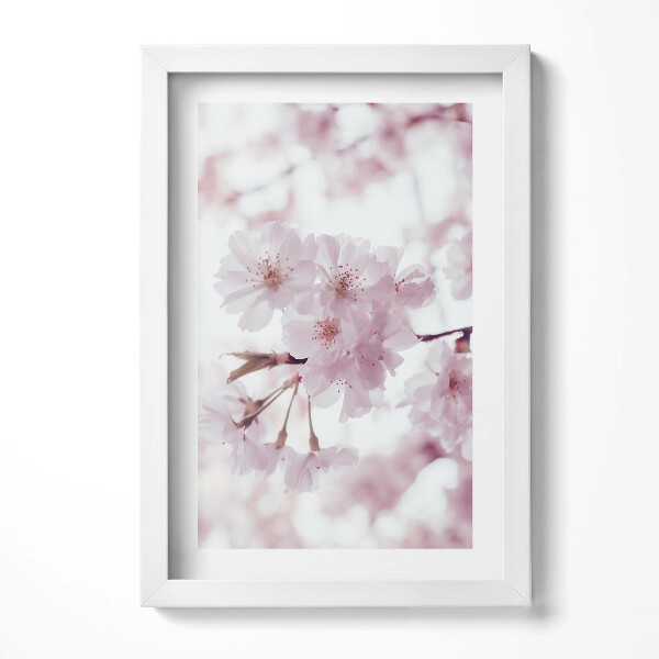 Obraz s rámem elegantní Jemné světle růžové květy