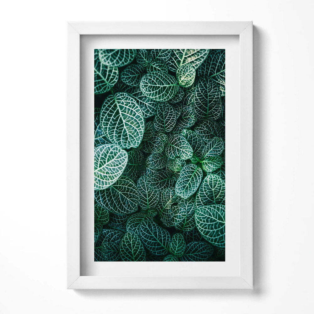 Obraz s rámem elegantní Zelené divoké listy