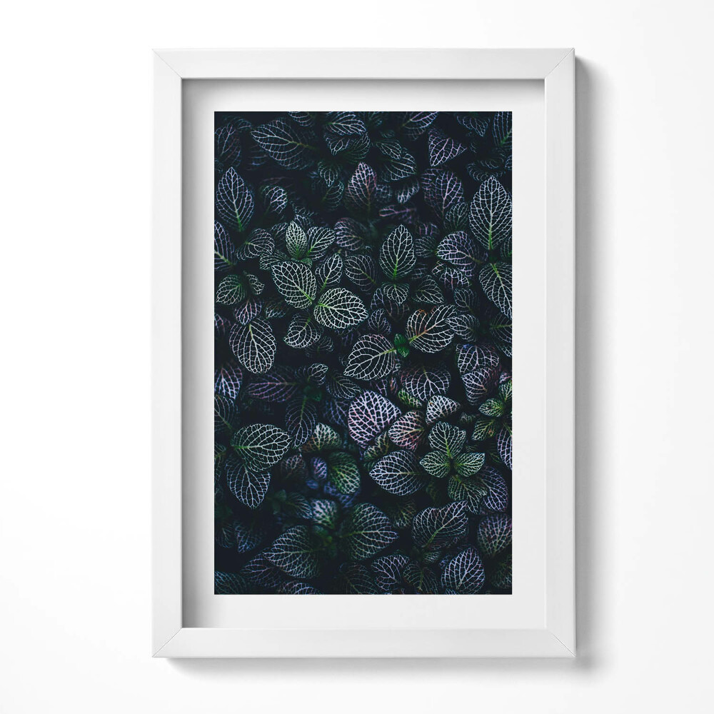 Obraz s rámem elegantní Tmavé divoké listy