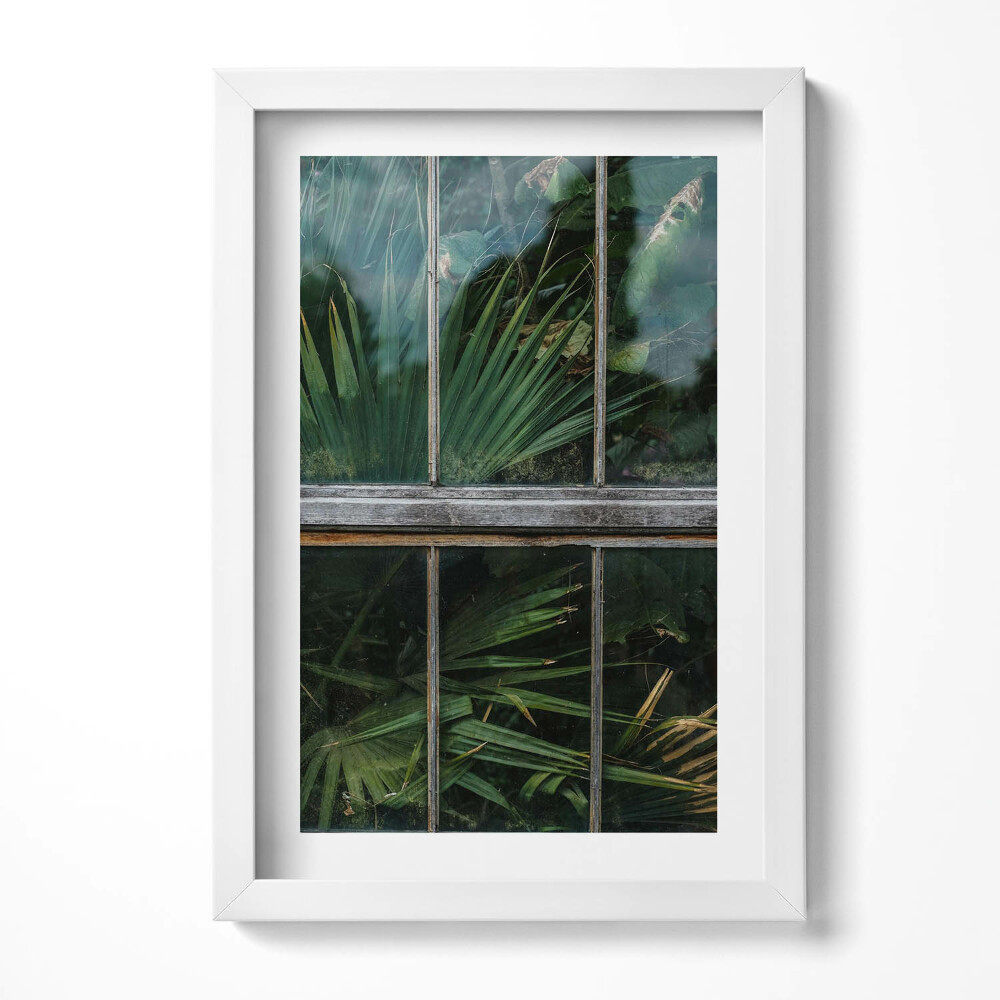 Obraz s rámem elegantní Skleníkové okno a rostliny