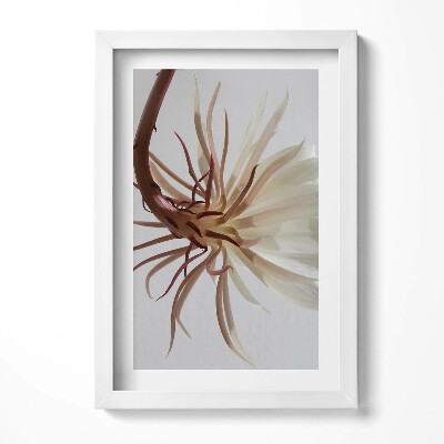 Obraz s rámem elegantní Jemná boho rostlina