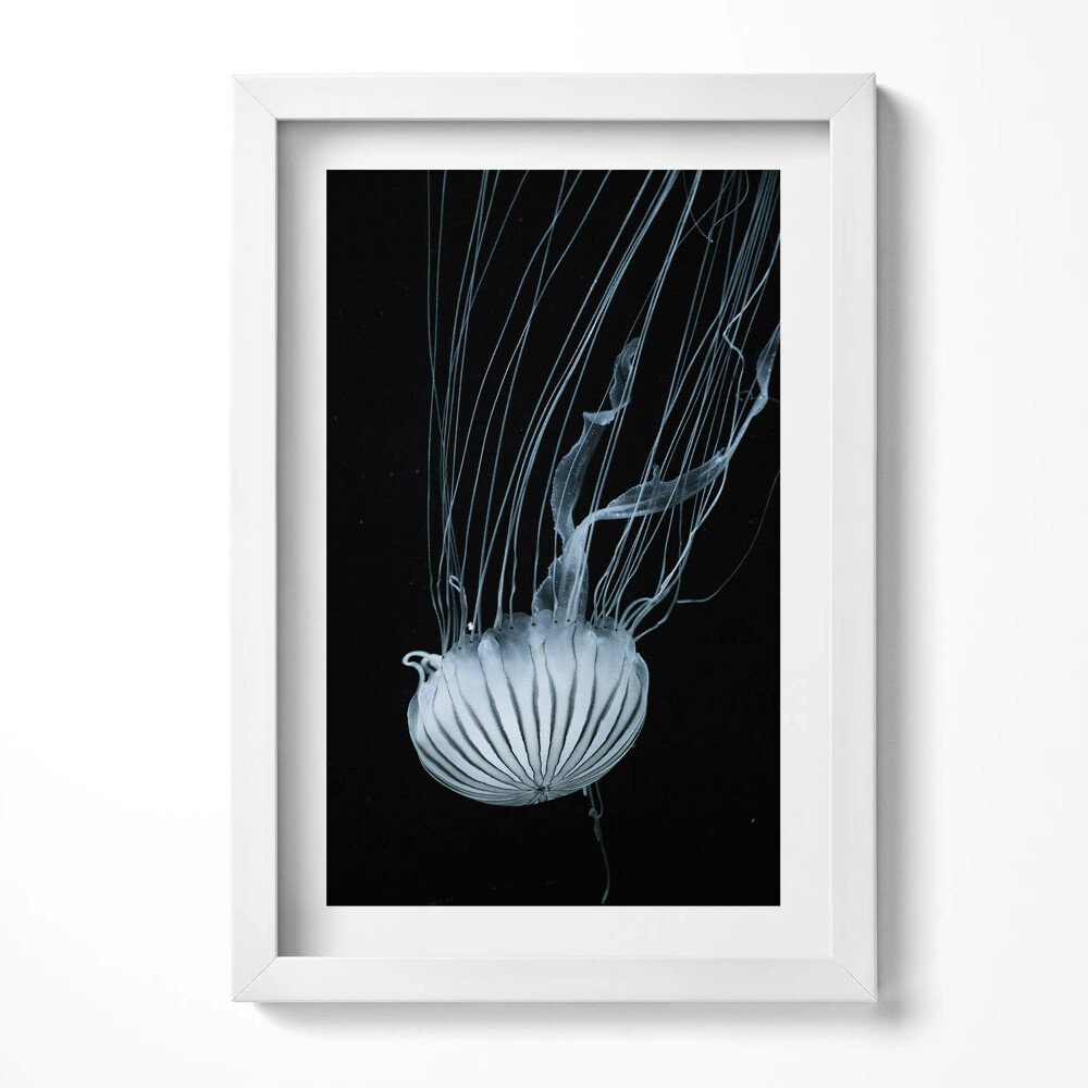 Obraz s rámem elegantní Medúzy na černém pozadí