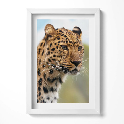 Obraz s rámem elegantní Divoké zvíře kočičí hlava