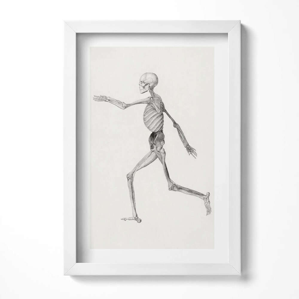 Obraz s rámem elegantní Kresba kostry
