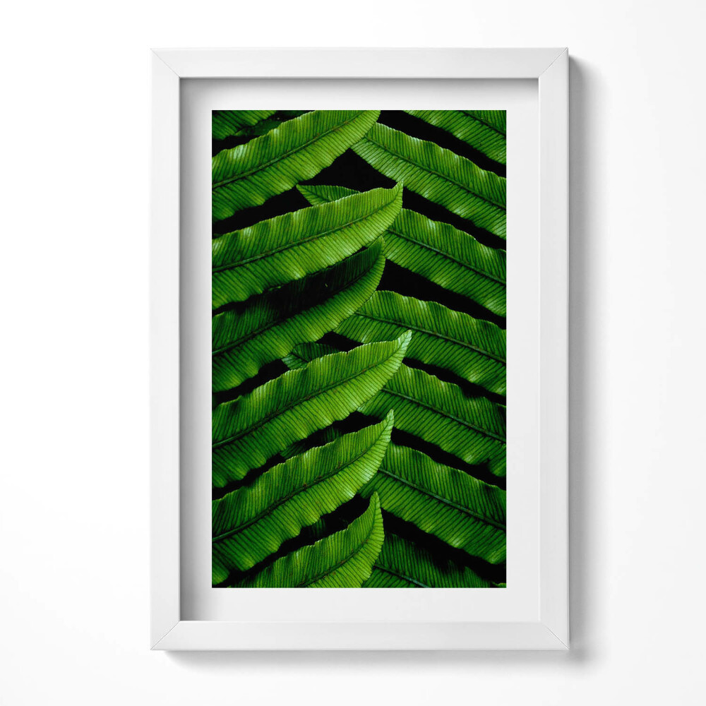 Obraz s rámem elegantní Detailní záběr na zelené listy